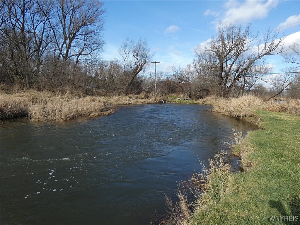 Cooney Road, Franklinville, New York image 3