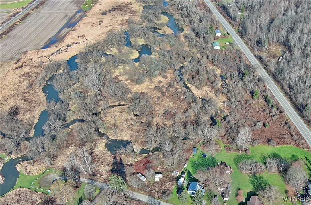 Cooney Road, Franklinville, New York image 7