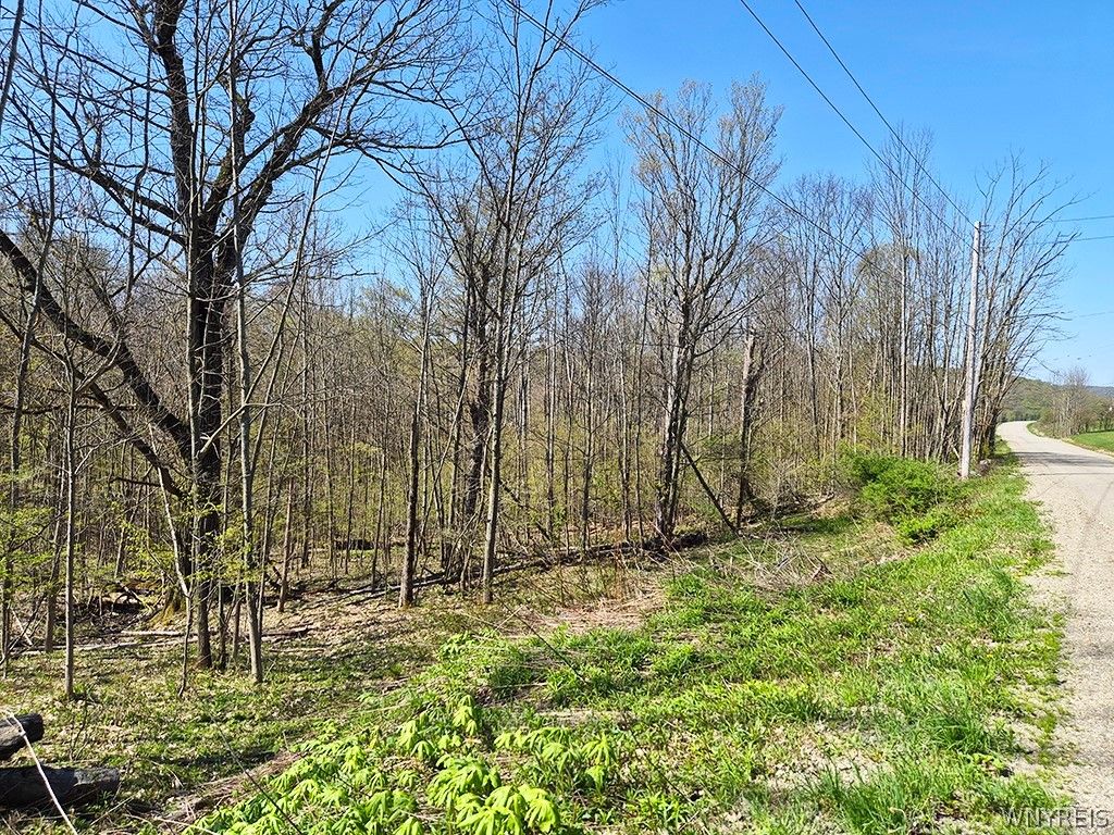 Photo of VL Windsor Road, Mansfield, NY 14779 (MLS # B1678656)