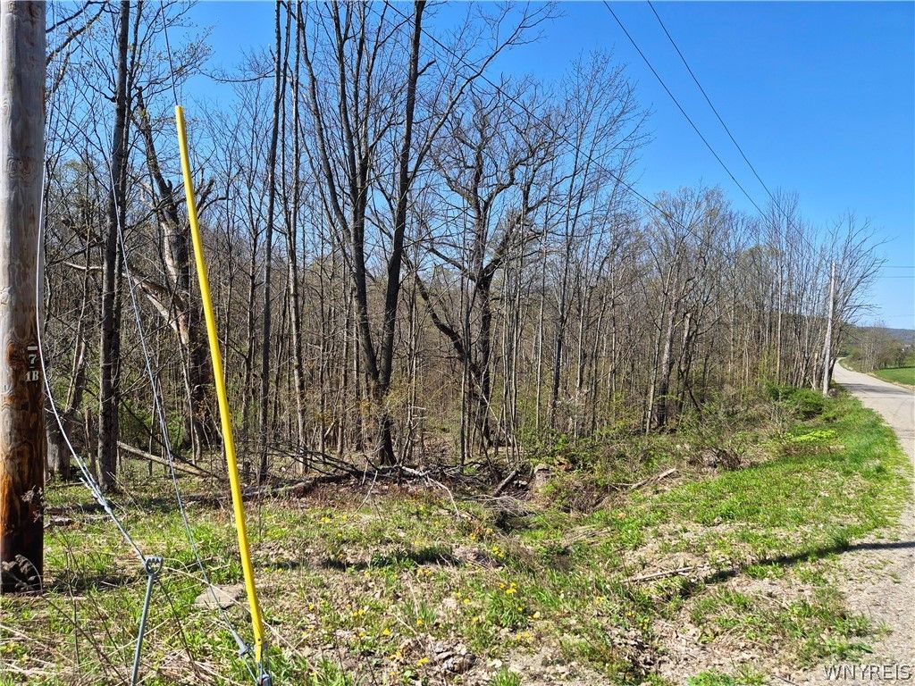 Photo of VL Windsor Road, Mansfield, NY 14779 (MLS # B1678656)