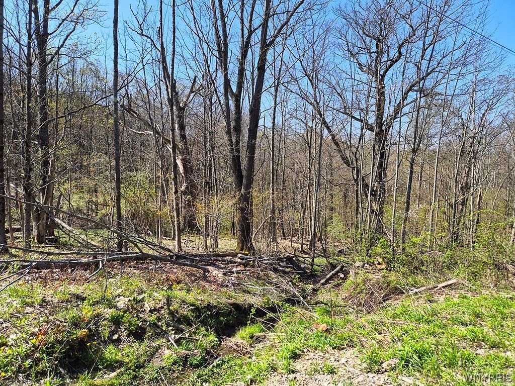 Photo of VL Windsor Road, Mansfield, NY 14779 (MLS # B1678656)