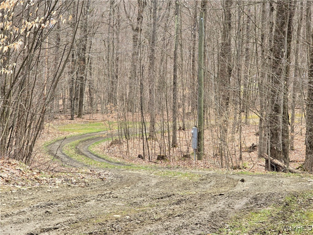 13 Spring Brook Road, Friendship, New York image 14
