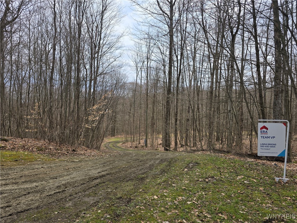 13 Spring Brook Road, Friendship, New York image 13