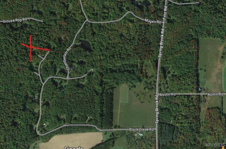 13 Spring Brook Road, Friendship, New York image 6