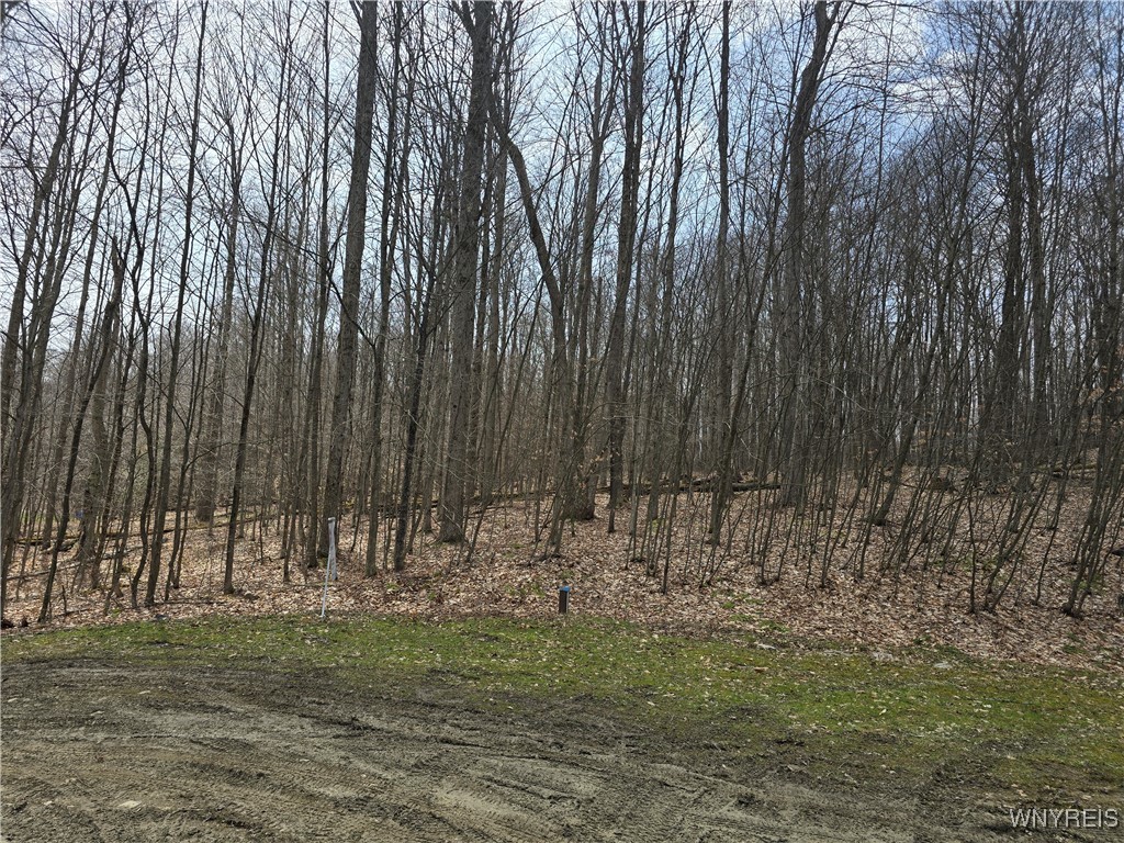 13 Spring Brook Road, Friendship, New York image 12