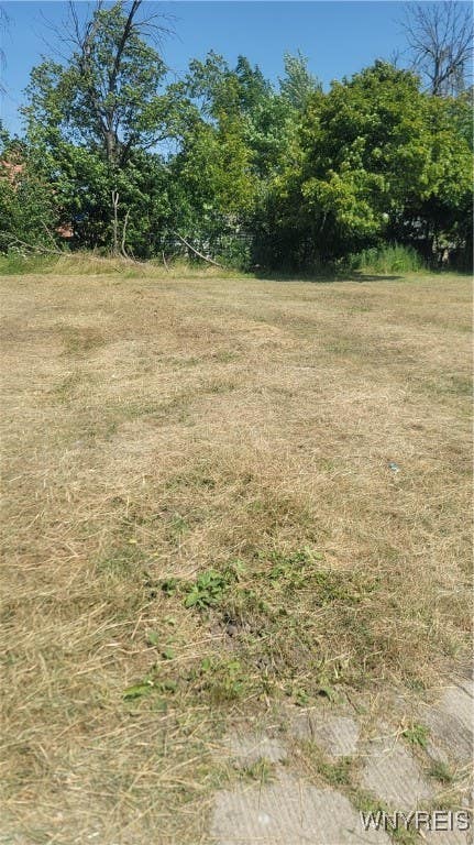 Vacant Land For Sale - 105-109-113 Nevada Avenue<br/> Buffalo, NY 14211