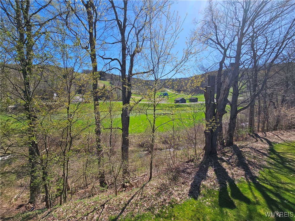 81 Woods Road, Ellicottville, New York image 6