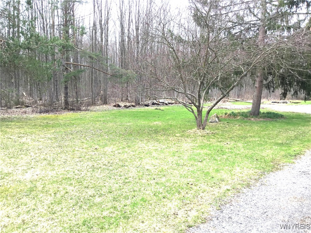 7352 E Eden Road, Eden, New York image 36