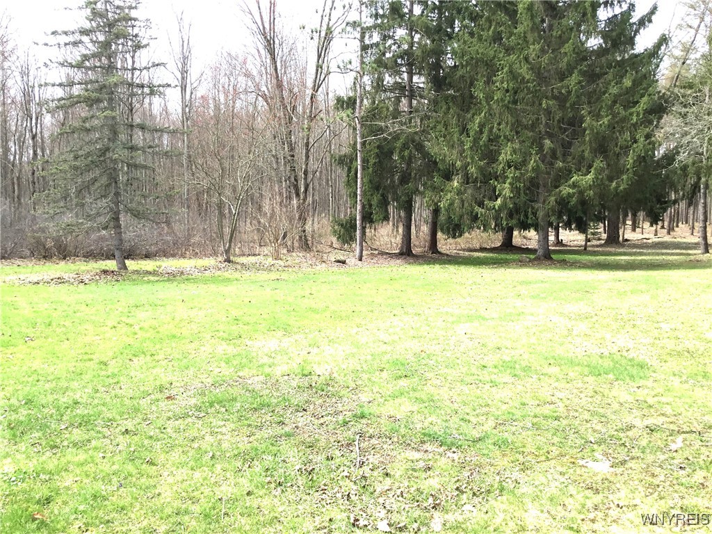 7352 E Eden Road, Eden, New York image 37