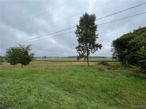 Photo for VL Graham Road