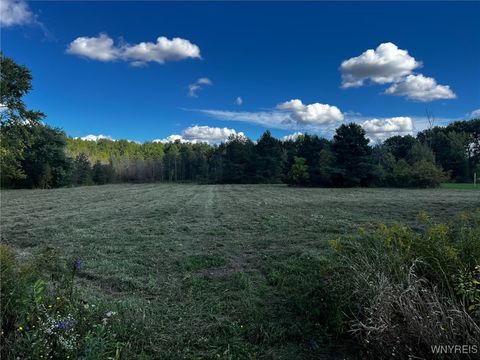 Vacant Land For Sale - VL Creek Road<br/> Lewiston, NY 14092