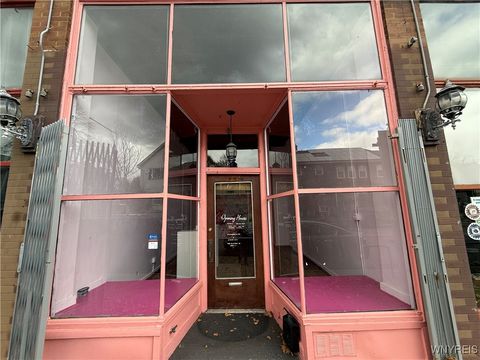 Photo of 216 Grant Street, Buffalo, NY 14213 (MLS # B1653969)