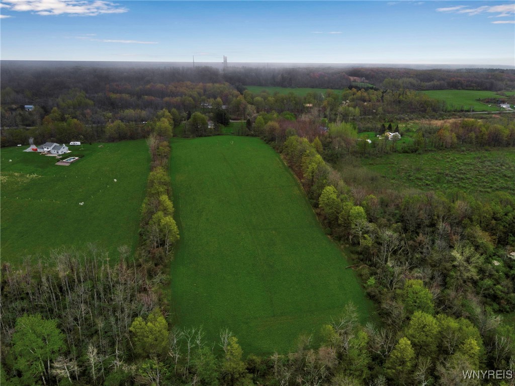 932 Werner Road, Attica, New York image 4