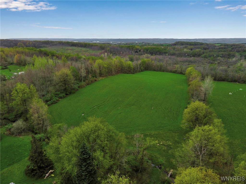 932 Werner Road, Attica, New York image 29