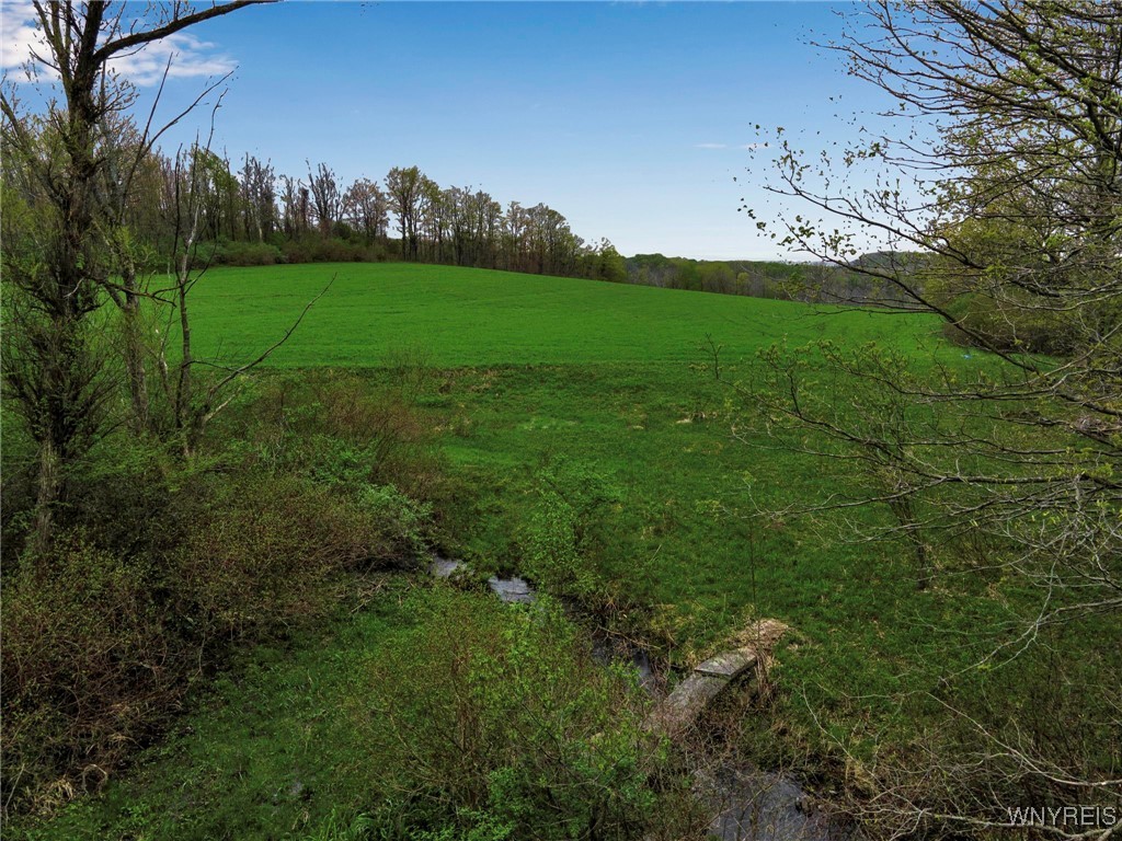 932 Werner Road, Attica, New York image 5