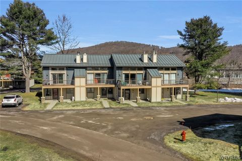 Condo For Sale - 2 Alpine Mdws #2<br/> Ellicottville, NY 14731