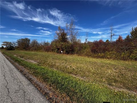 Vacant Land For Sale - VL Mcclelland Road<br/> Newfane, NY 14108
