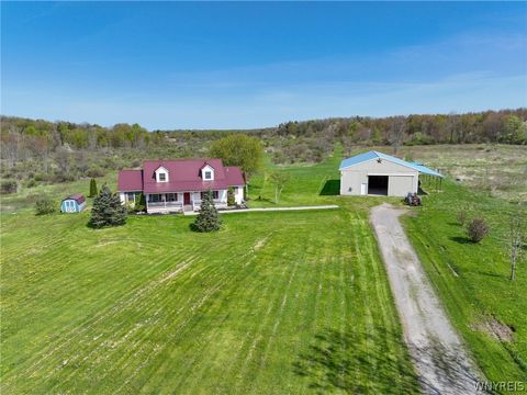 Photo of 2978 Brown Street, Collins, NY 14034 (MLS # B1678590)
