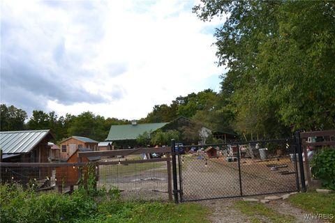 10268 Springville Boston Road Springville NY 14141