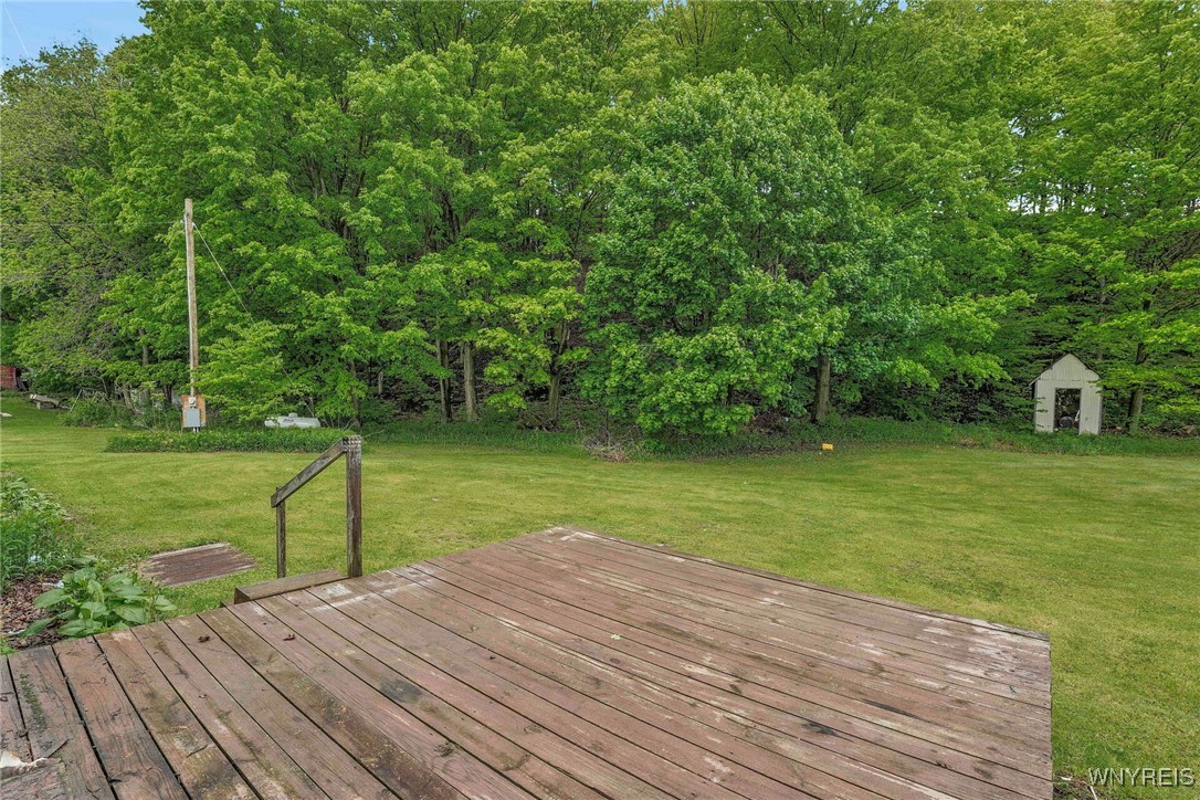 10468 Delevan Elton Road, Freedom, New York image 3