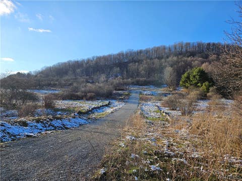 Vacant Land For Sale - 6048 Nys Rte 242 E<br/> Ellicottville, NY 14731