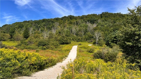 Vacant Land For Sale - 6048 Nys Rte 242 E<br/> Cattaraugus County, Ellicottville, NY 14731