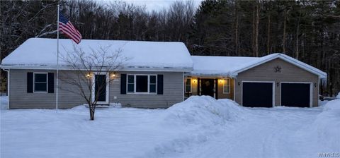 Homes For Sale - 10984 Blanchard Road<br/> Colden, NY 14080