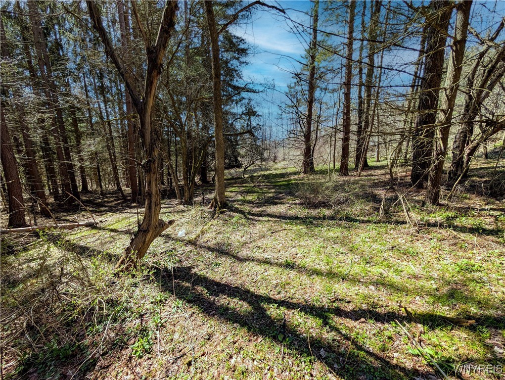 S Bolivar Road, Bolivar, New York image 4