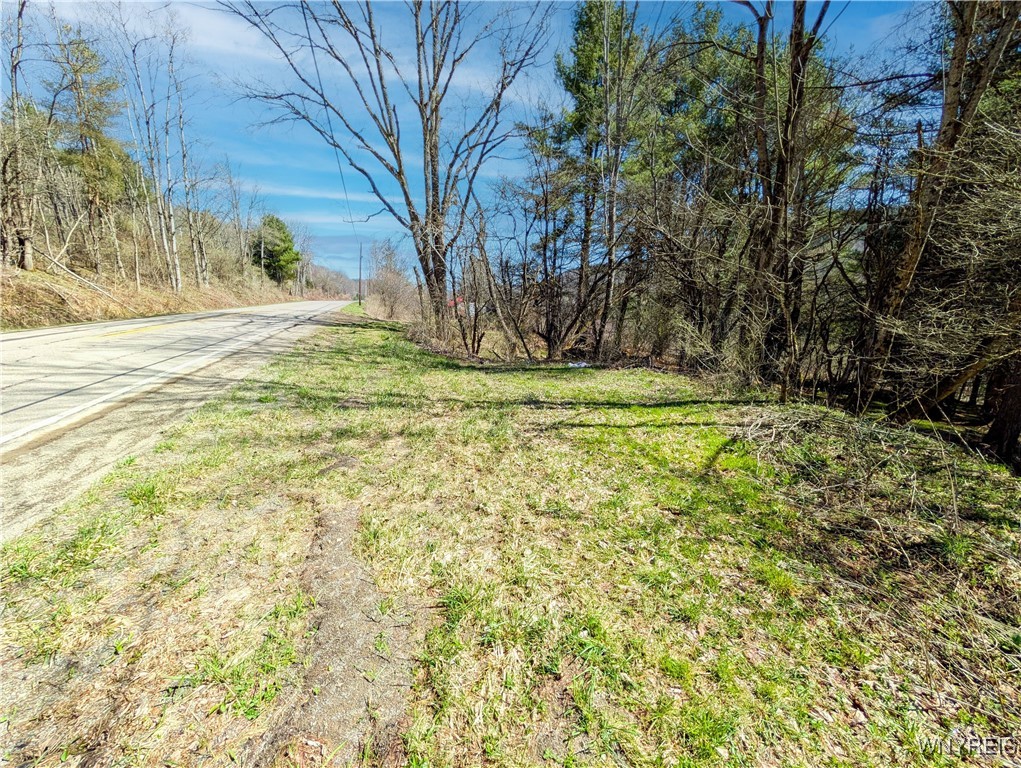 S Bolivar Road, Bolivar, New York image 7