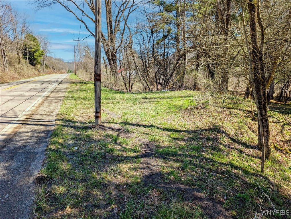S Bolivar Road, Bolivar, New York image 6