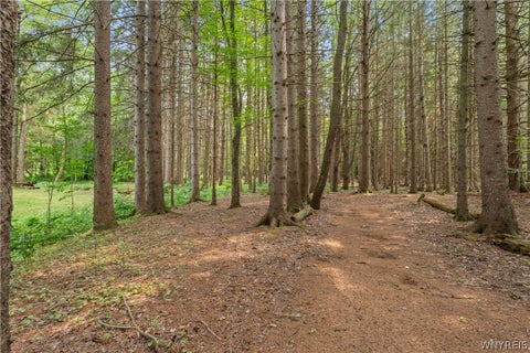 Tiny photo for 28 Treehaven Road, Wethersfield, NY 14066 (MLS # B1702298)