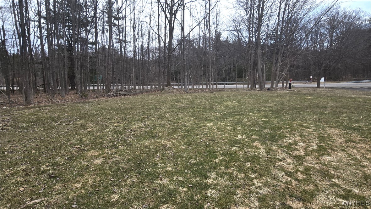 6194 Chestnut Ridge Road, Orchard Park, New York image 2