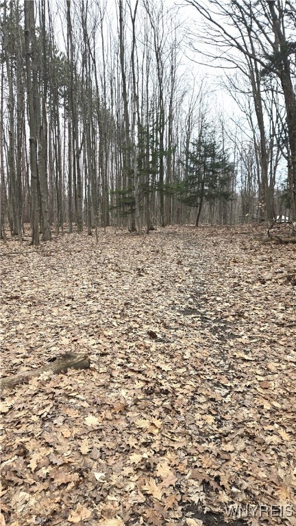 6194 Chestnut Ridge Road, Orchard Park, New York image 3