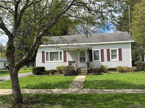 15 Clough Avenue Arcade NY 14009