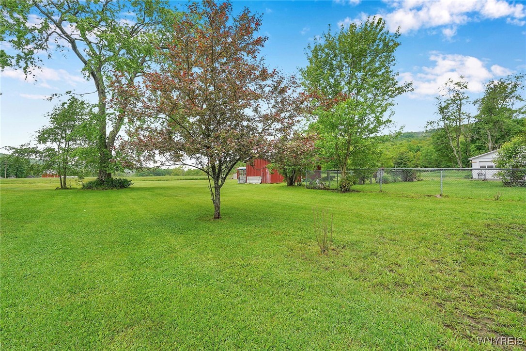 175 Salt Rising Road, Bolivar, New York image 14
