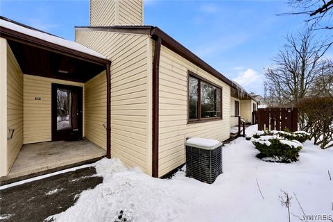 53 Old Meadow Drive Amherst NY 14051