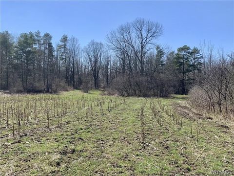 Tiny photo for 6320 VL Stinson Road, Arcade, NY 14009 (MLS # B1684784)
