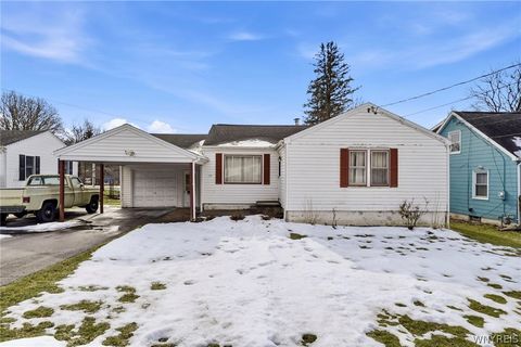 Homes For Sale - 20 Allen Street<br/> Collins, NY 14070