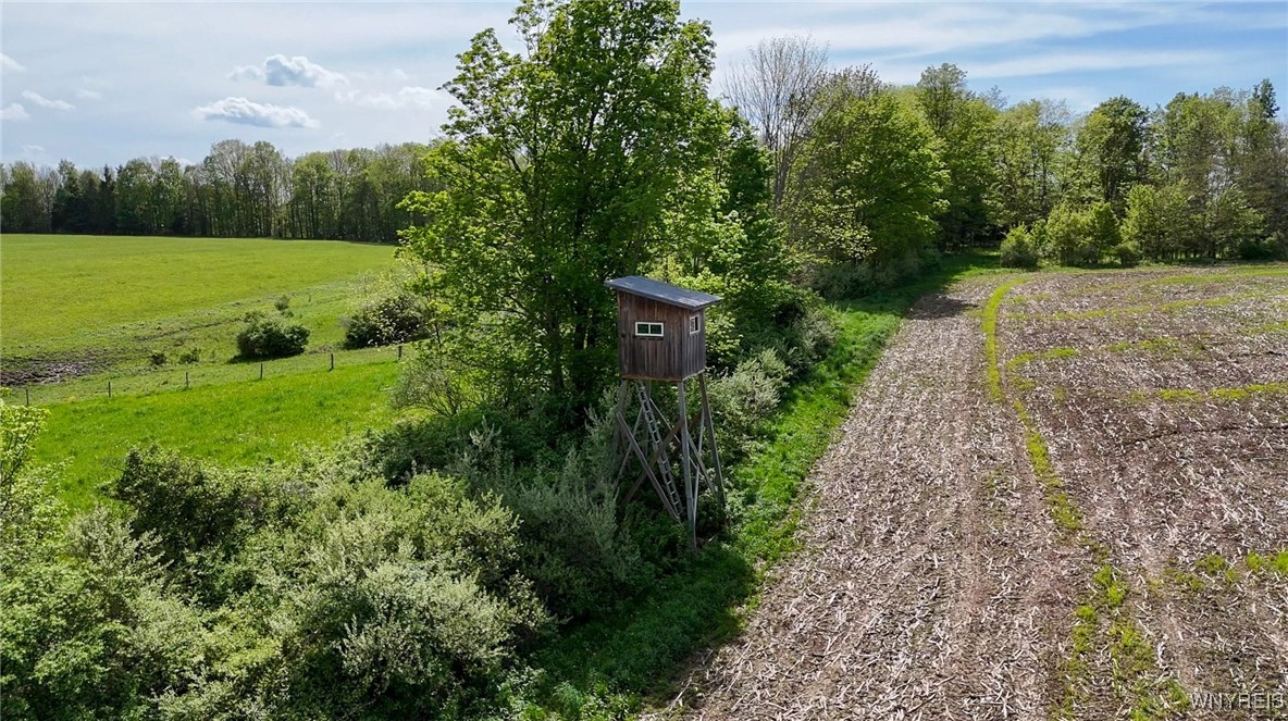 00 Armison Road, Hume, New York image 7