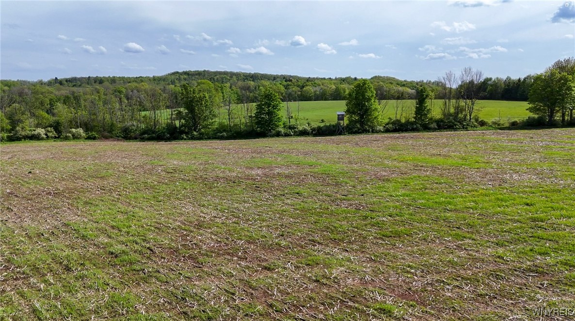 00 Armison Road, Hume, New York image 8