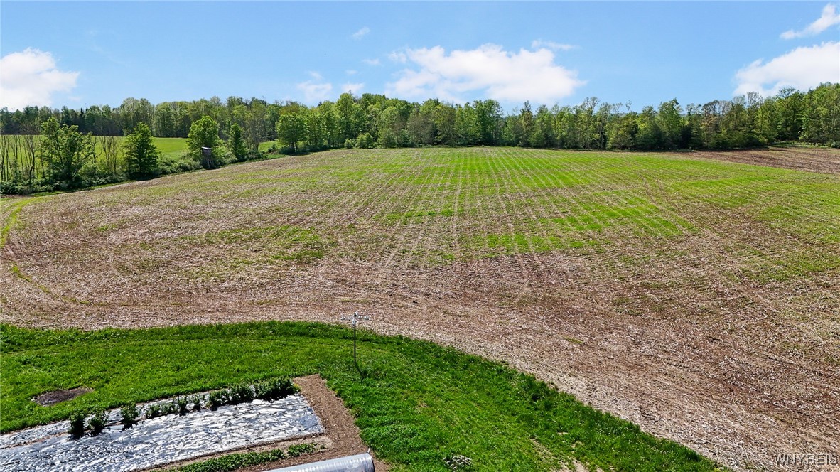 00 Armison Road, Hume, New York image 6