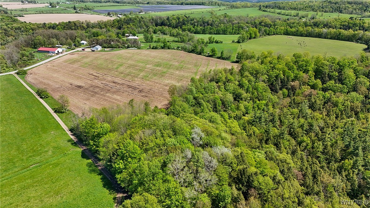 00 Armison Road, Hume, New York image 4