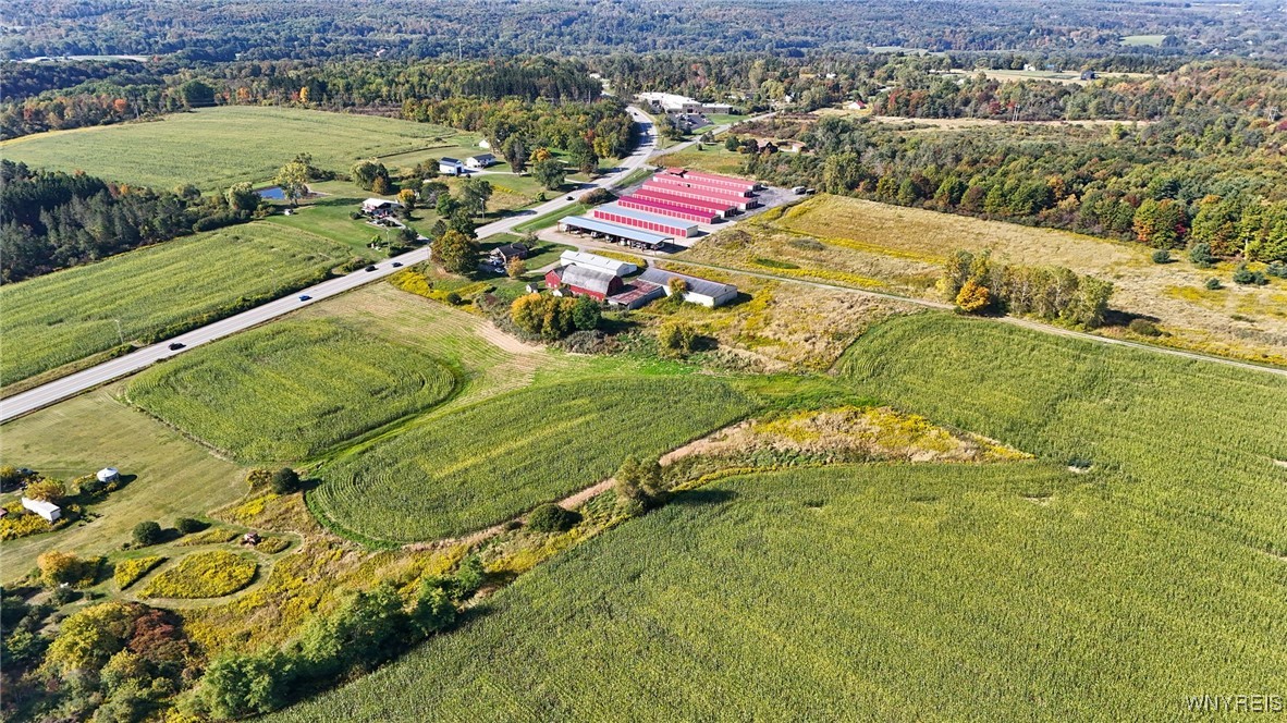 13050 Big Tree Rd Road