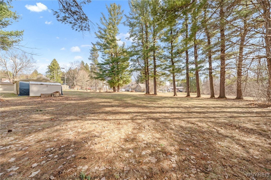 1736 Sandridge Road, Alden, New York image 36