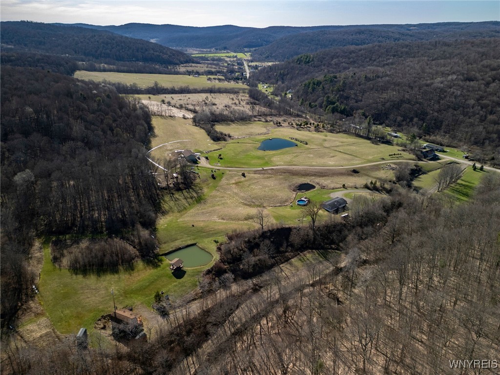 4505 Conley Road, Hinsdale, New York image 39