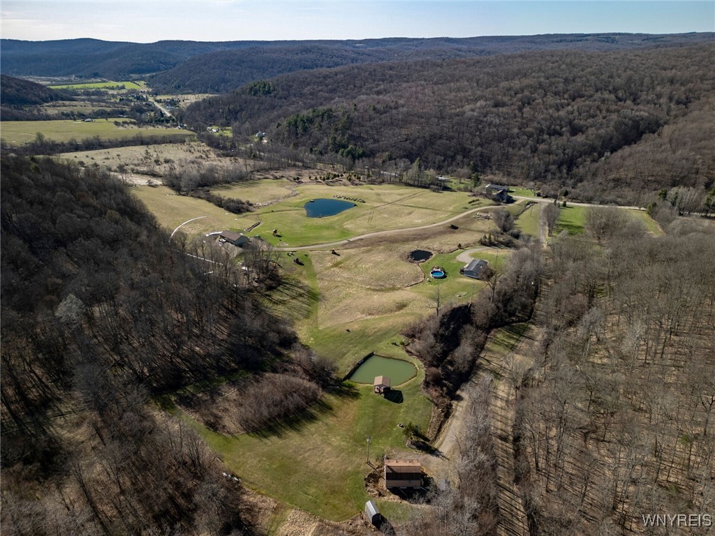 4505 Conley Road, Hinsdale, New York image 40