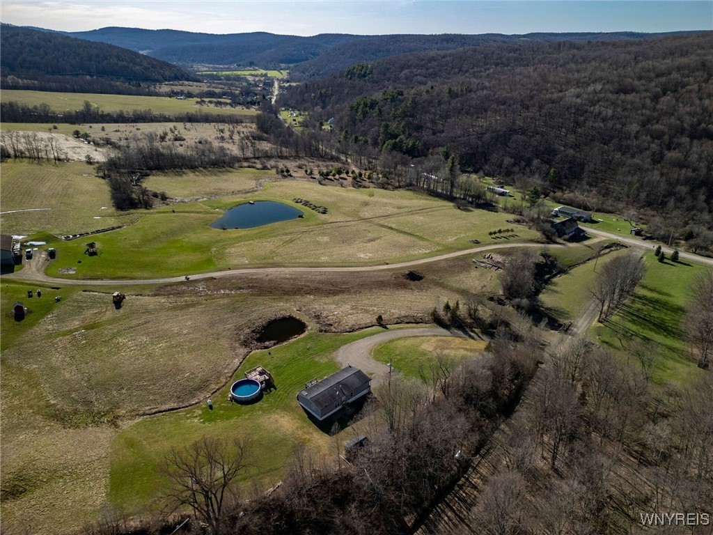 4505 Conley Road, Hinsdale, New York image 37