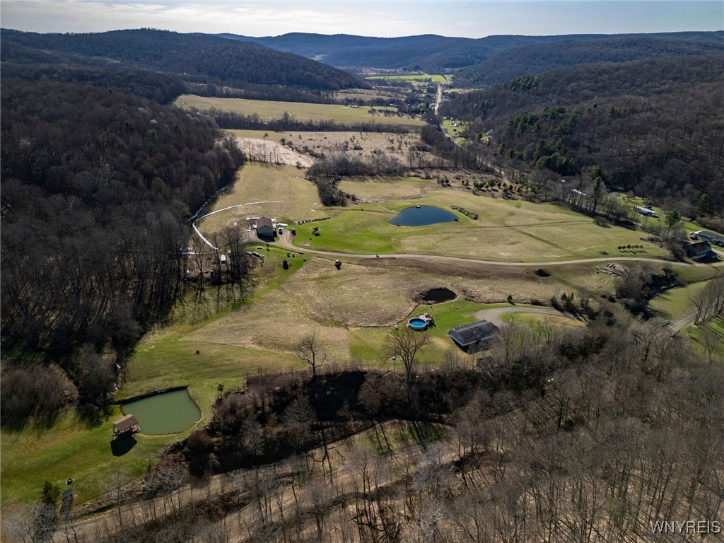 4505 Conley Road, Hinsdale, New York image 38