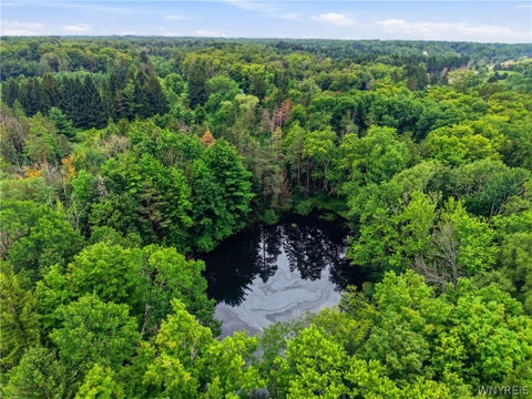 Tiny photo for 10788 Partridge Road, Colden, NY 14080 (MLS # B1702192)