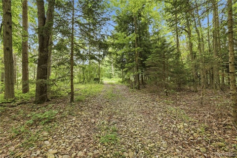 Tiny photo for 10788 Partridge Road, Colden, NY 14080 (MLS # B1702192)